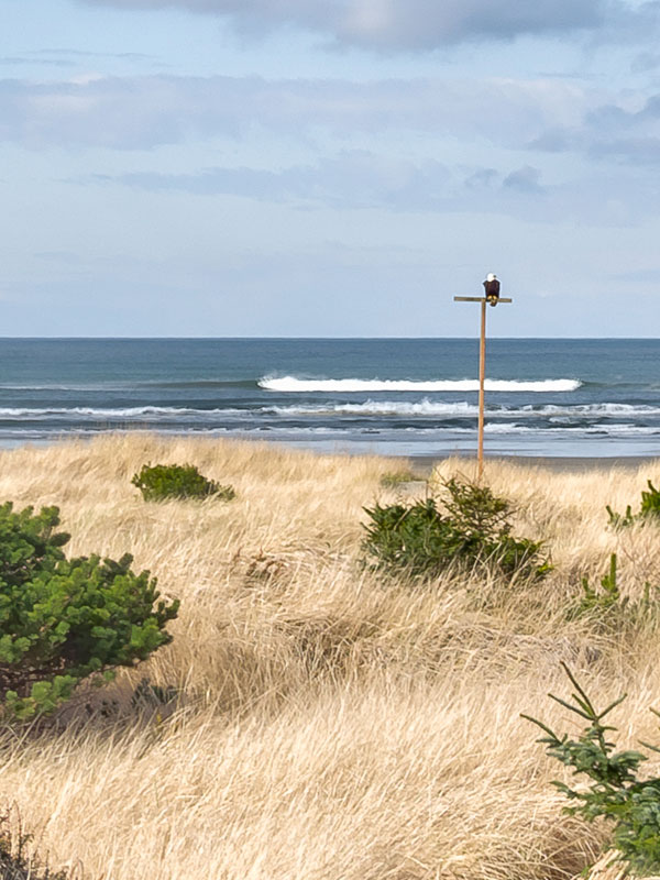 Surfside
