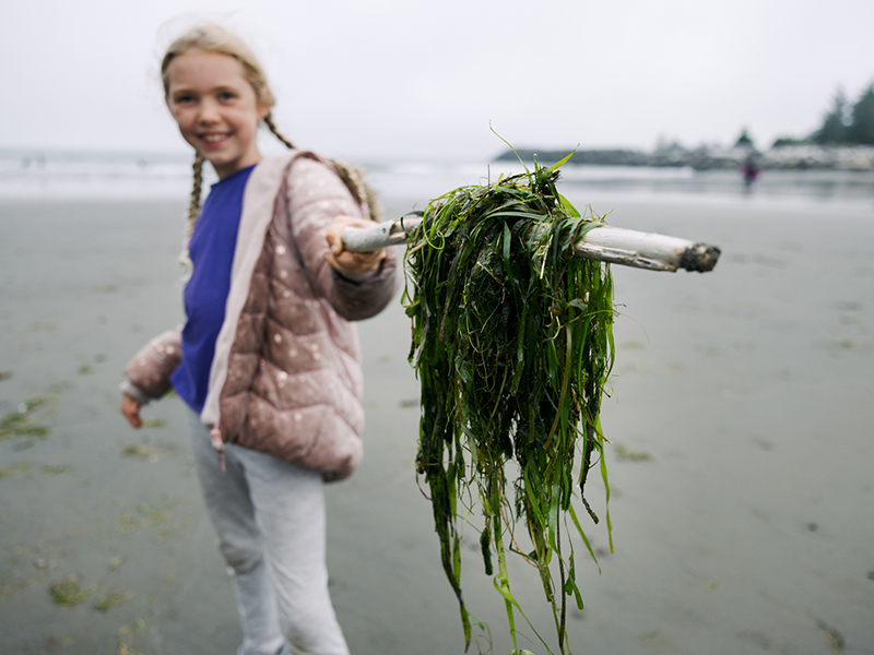 Girl holding seaweeds on the stick