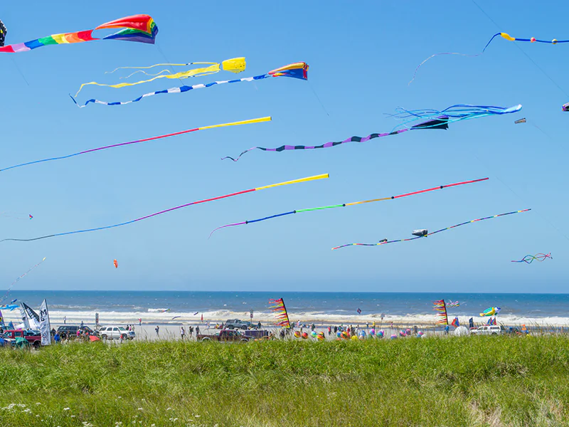 kites in the beach