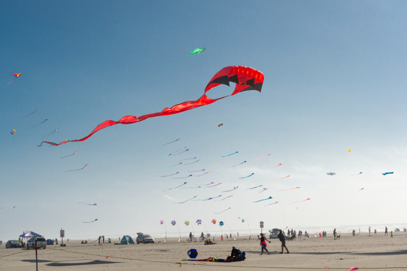 Kite Festival Long Beach Washington Blue Sky Beach Many Kites